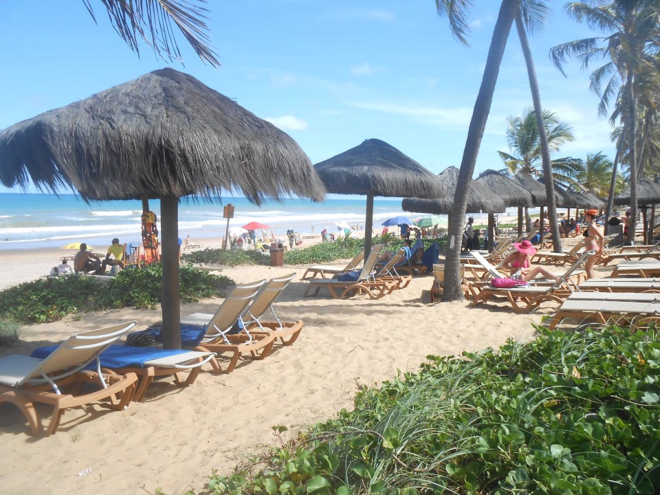 Reposeras en zona de playa Grand Palladium Imbassai Resort & Spa