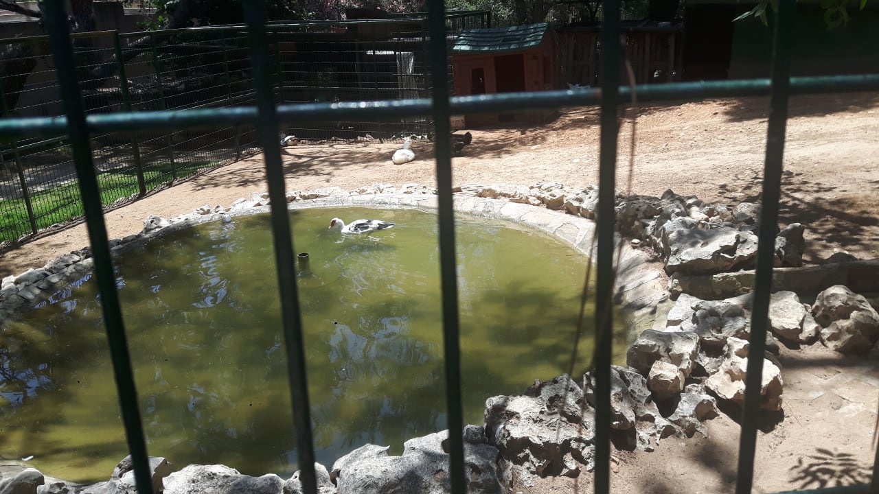 Gartenanlage Blue Waters Club