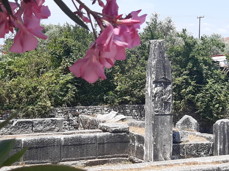 Gartenanlage Hotel Dionysos