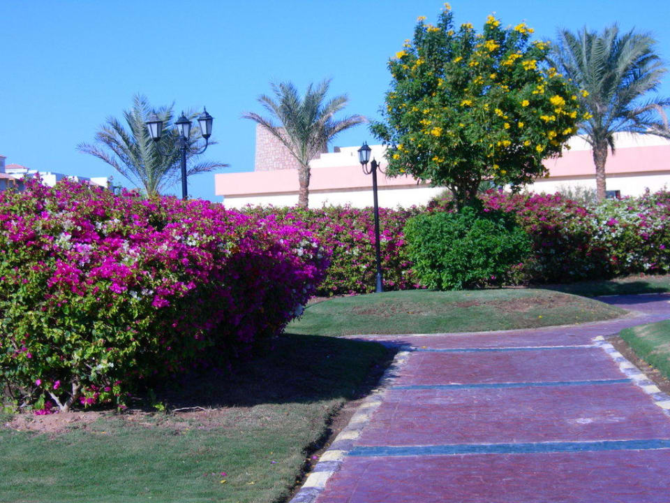 Gartenanlage Pickalbatros Dana Beach Resort - Hurghada