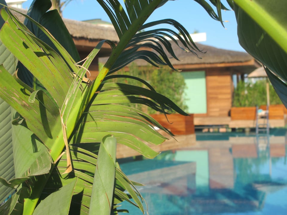 Pool Maxx Royal Belek Golf Resort