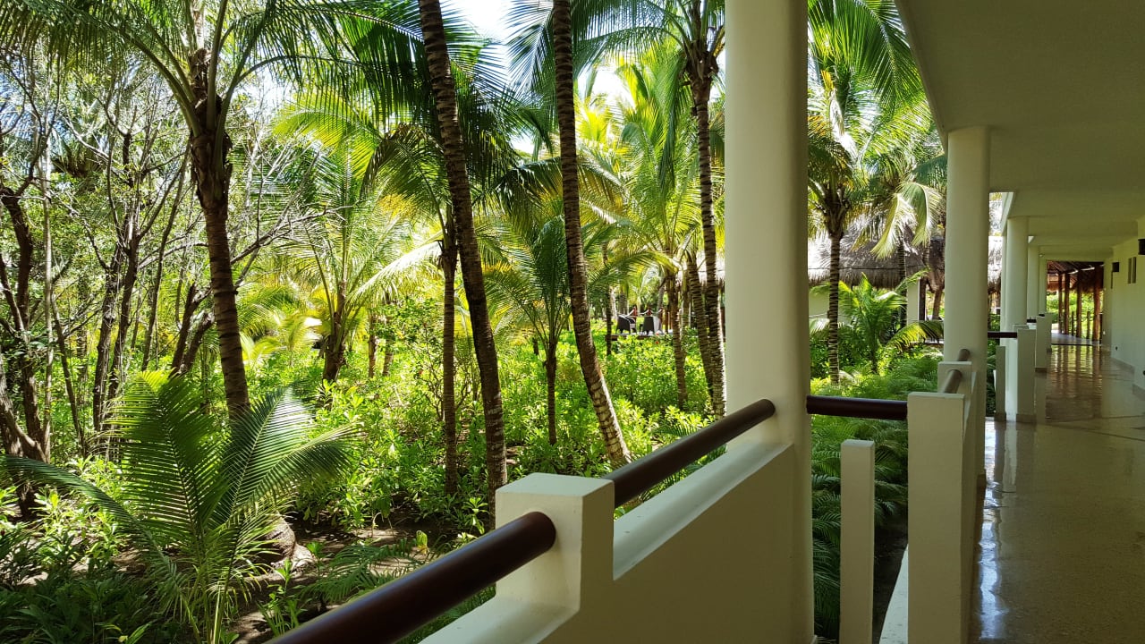 Gartenanlage Akumal Bay Beach & Wellness Resort