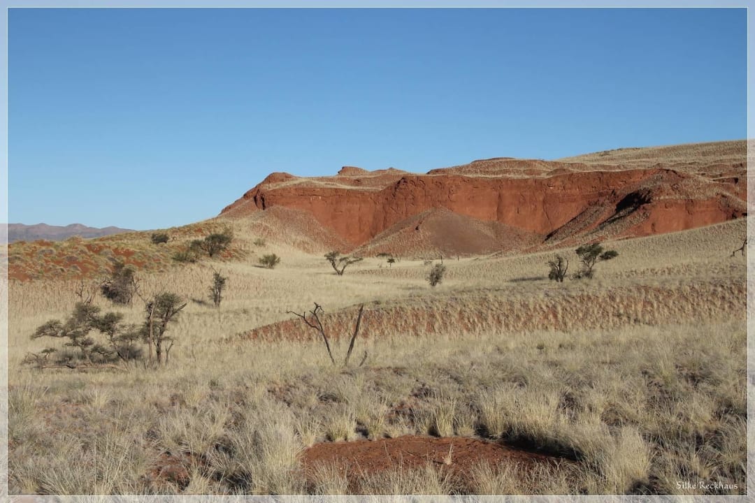 Umgebung  Namib Desert Lodge
