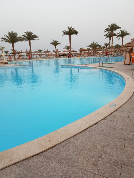 Pool Beach Albatros Resort