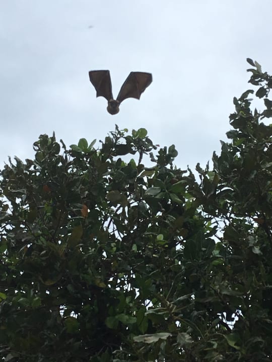 Ausblick Kuredu Island Resort & Spa