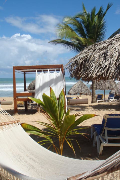 Am Strand: Bali-Bed und Hängematte Excellence Punta Cana - Adults only