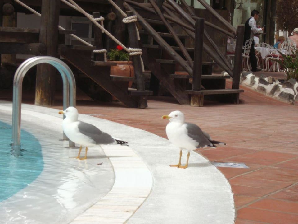 Hotelmöven H10 Timanfaya Palace - Adults only