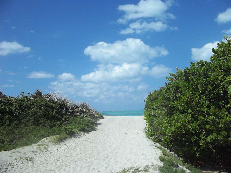 Ein Zugang zum Strand von mehreren Iberostar Origin Playa Alameda