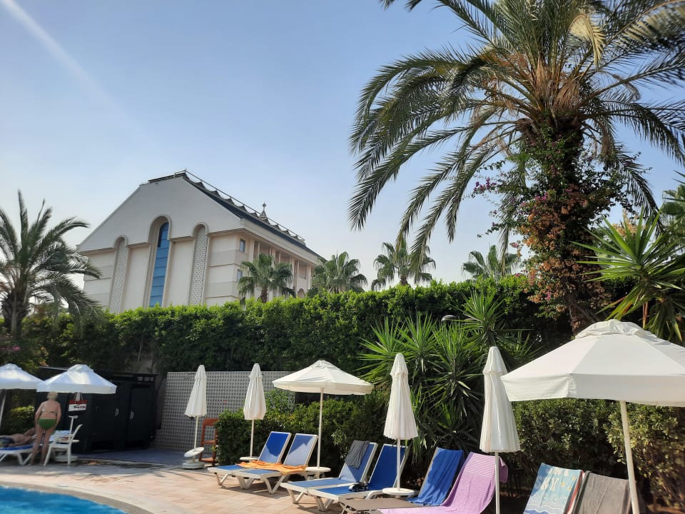 Pool Calimera Hane Garden