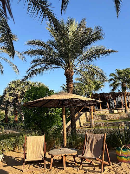 Außenansicht Fort Arabesque - The West Bay