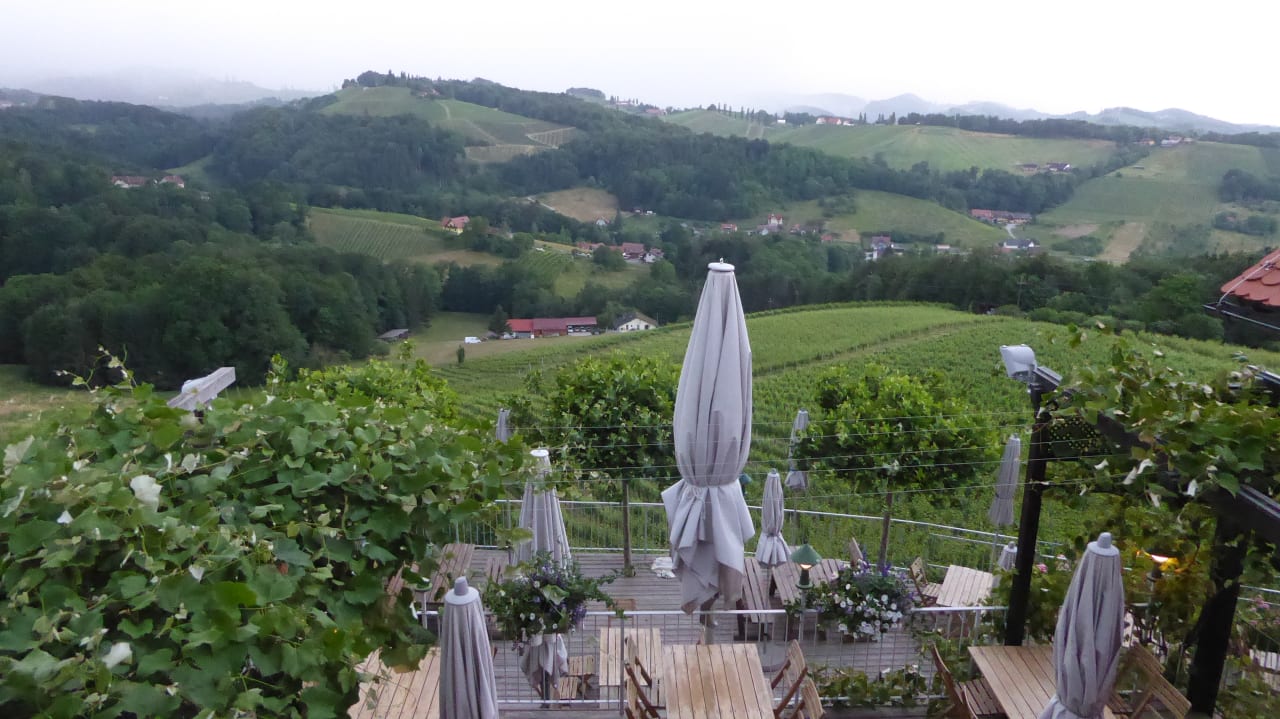 Ausblick Pension Weingut Skoff Original