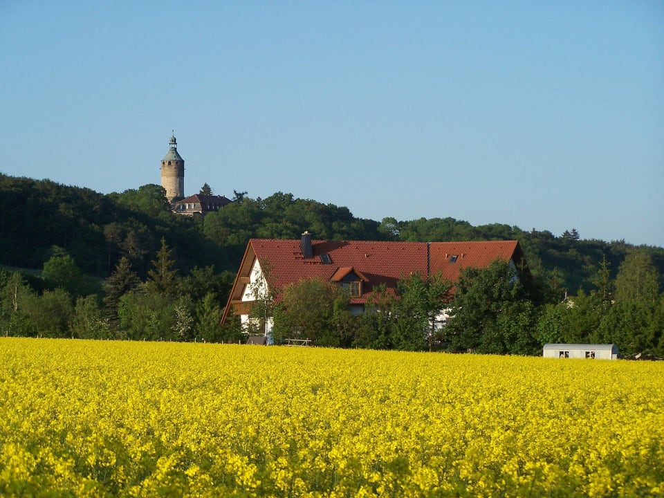 Pension Grünes Herz in Tonndorf Pension Grünes Herz