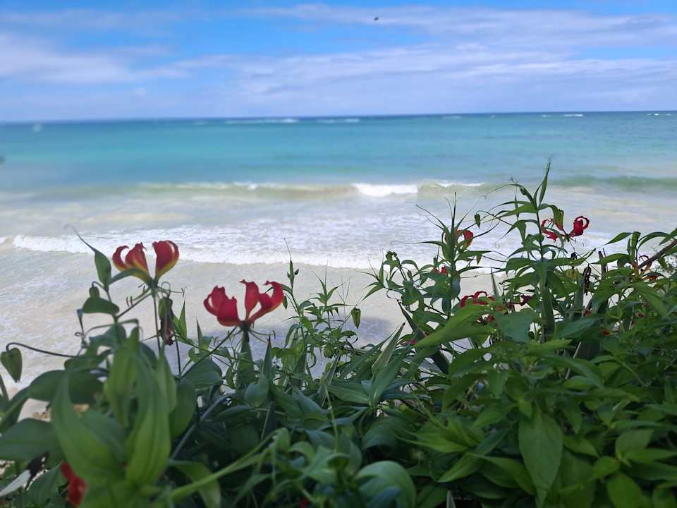 Ausblick Baobab Beach Resort & Spa