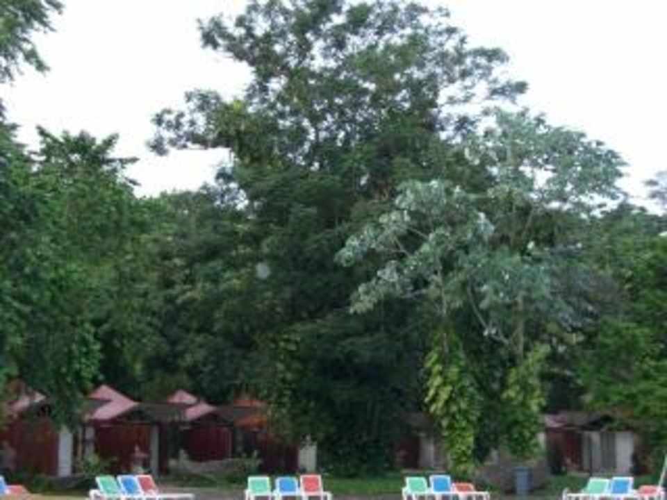 Die Anlage / Bungalows Villa Soroa