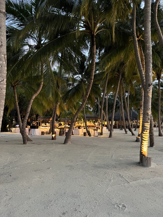 Gastro Gili Lankanfushi Resort