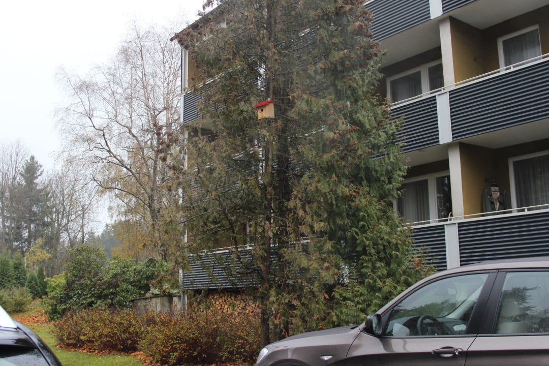 Herrlicher Blick in den Garten Gästehaus Bettina
