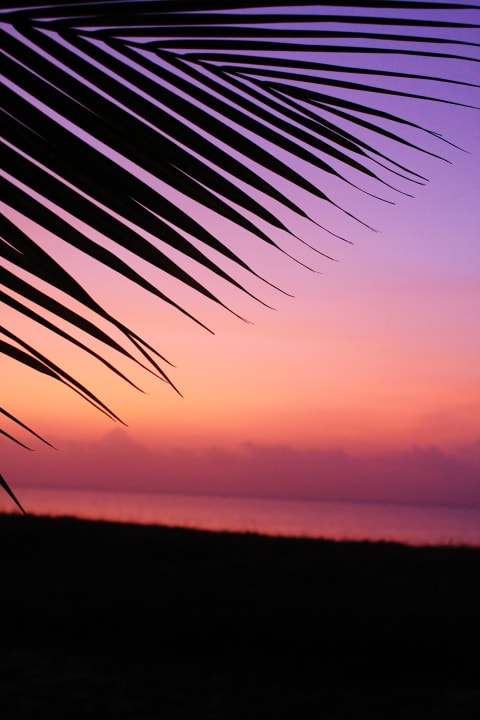 Morgenstimmung Emayani Beach Lodge