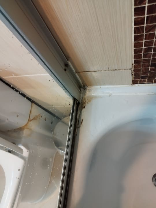 Zimmer Latanya Park Resort