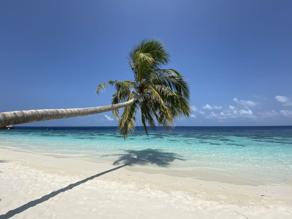 Strand Reethi Faru Resort