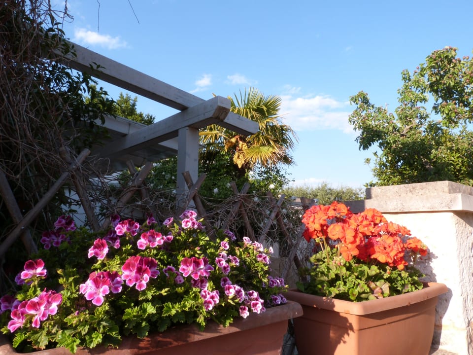 Außenansicht Bed & Breakfast Trullo Casa Rosa