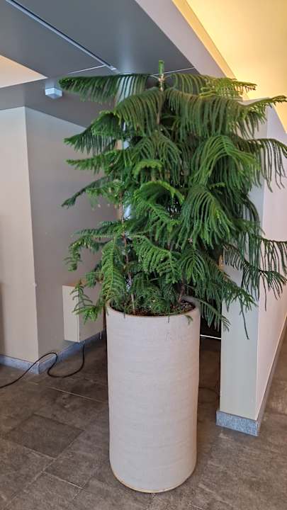 Sonstiges Säntis - das Hotel