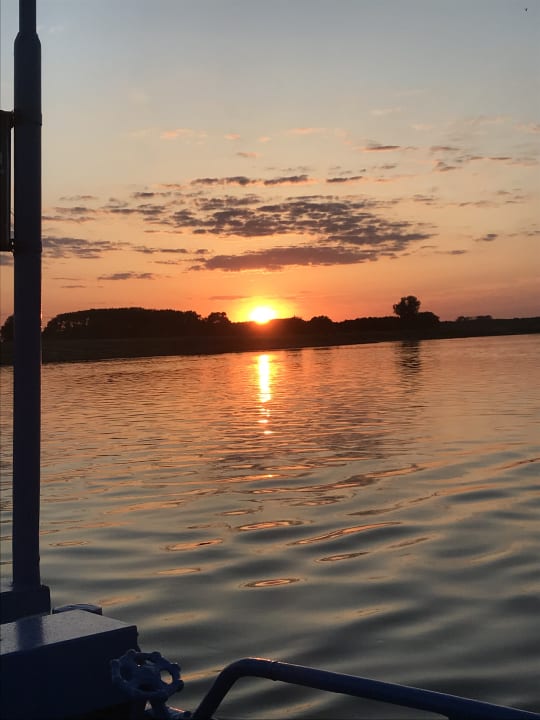 Ausblick Elbhotel am Hafen