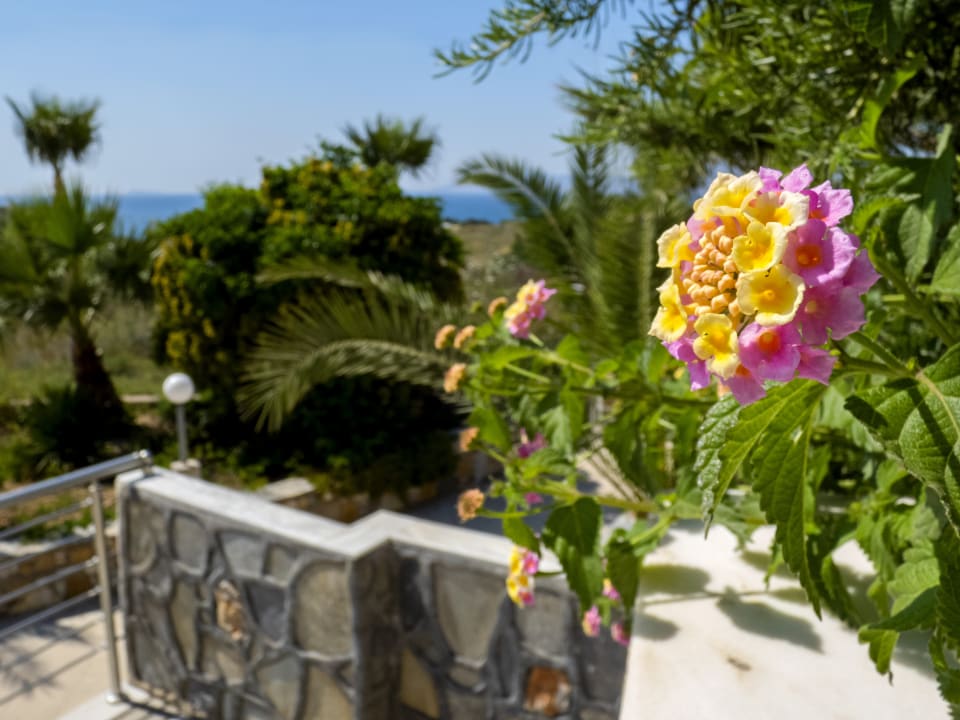 Gartenanlage Hotel Kouros Palace