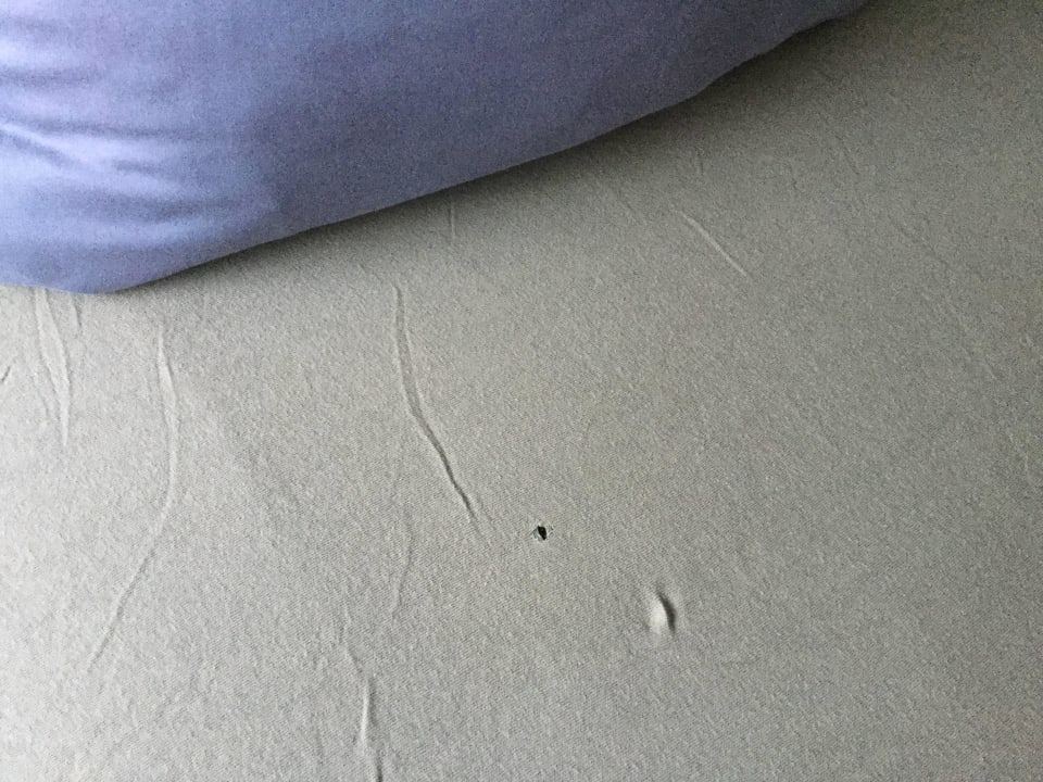 Loch im Bettlaken  Hotel Moness