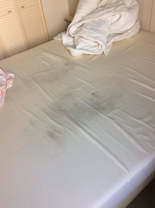 Lit d un cottage au bord du lac Center Parcs Le Lac d'Ailette