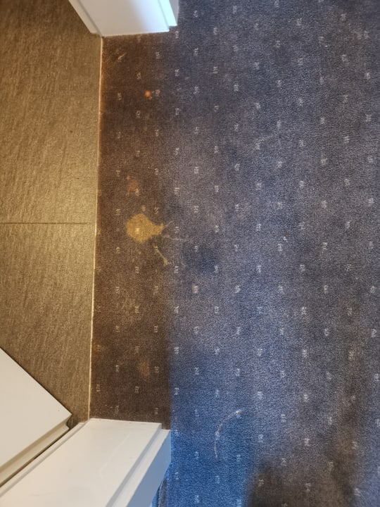 Zimmer Familien- und Sporthotel Bloemfontein