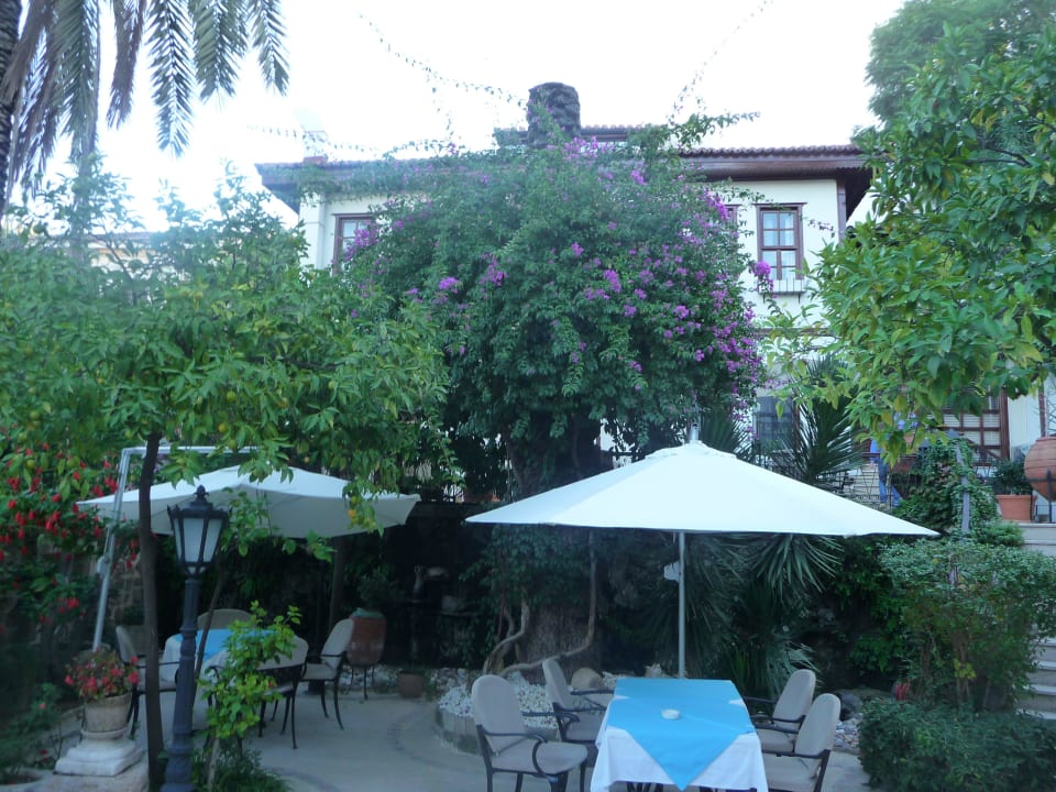 Details... Dogan Hotel by Prana Hotels & Resorts