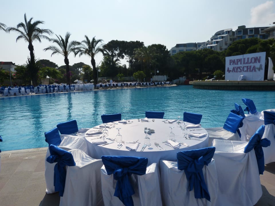 Vorbereitung zum Galaabend Papillon Ayscha