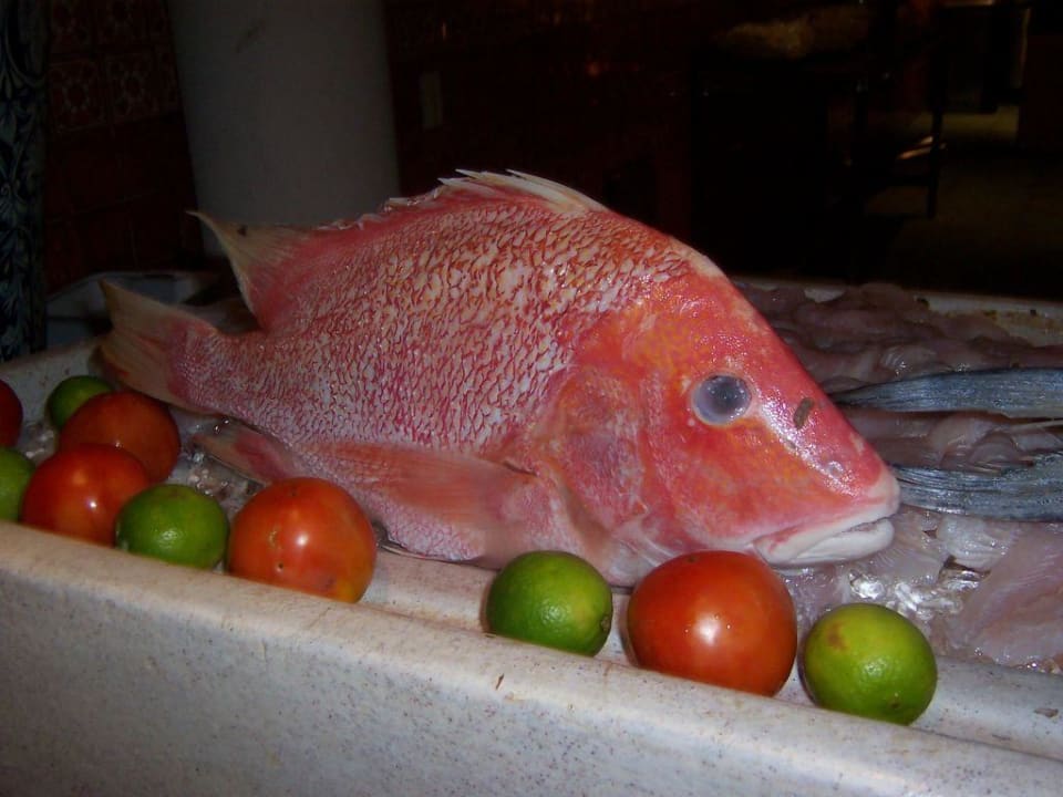 Fisch -Angebot ist einfach Klasse Iberostar Waves Costa Dorada