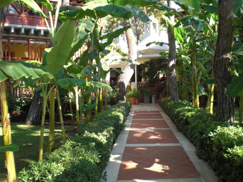 Eingang zum Hauptrestaurant ROBINSON ÇAMYUVA