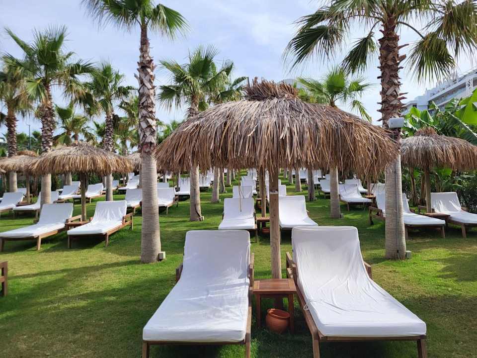 Gartenanlage Rubi Platinum Sign