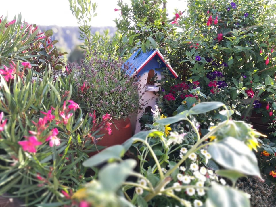 Gartenanlage Hotel Sporthof Austria