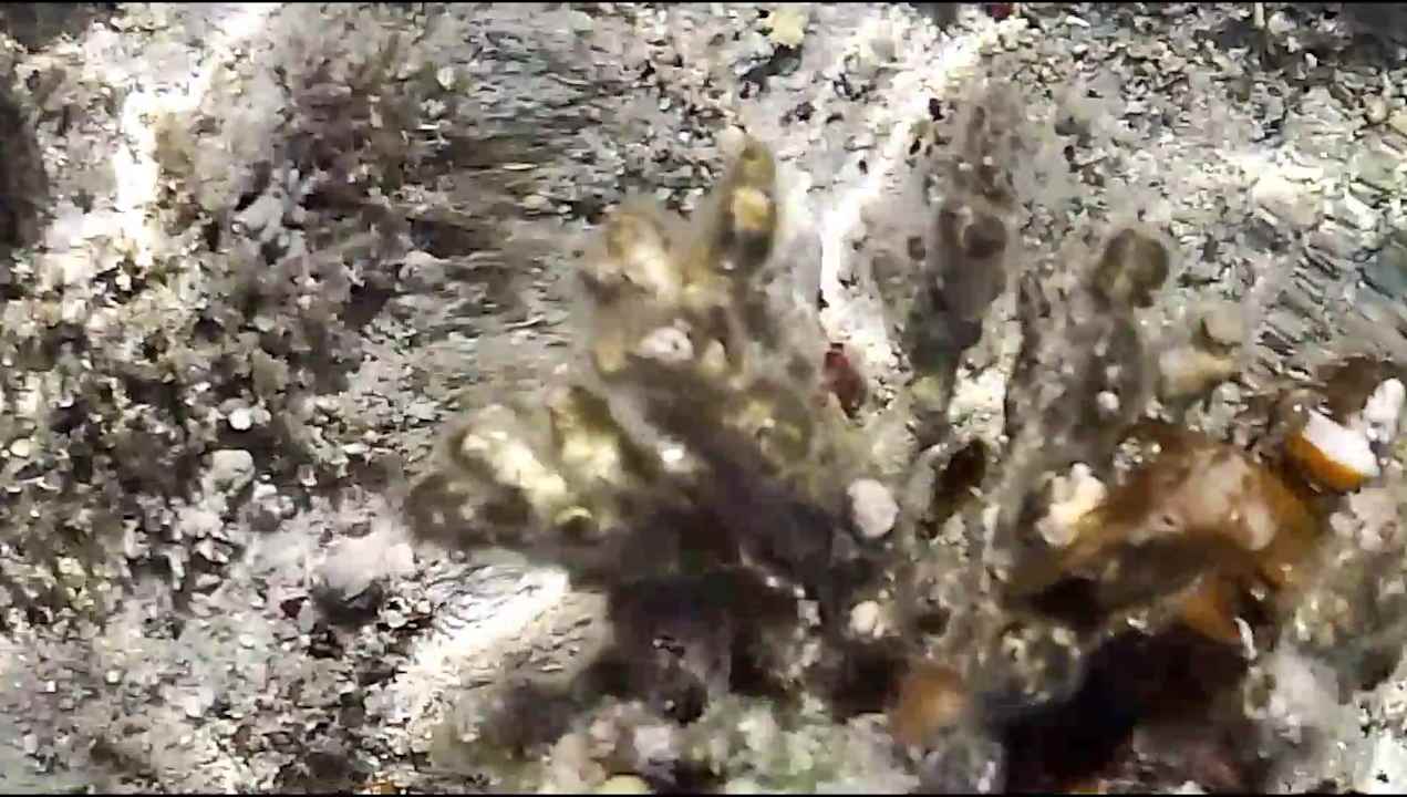 Strand Amarina Queen Resort Marsa Alam