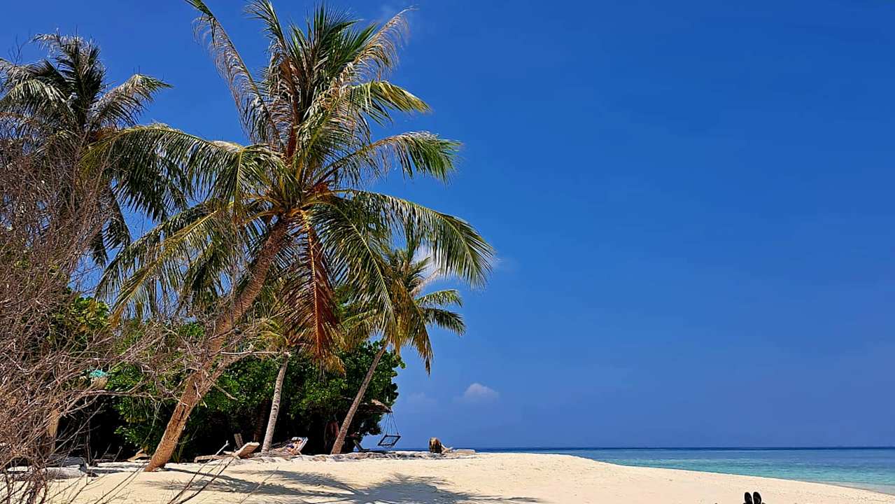 Ausblick Embudu Village