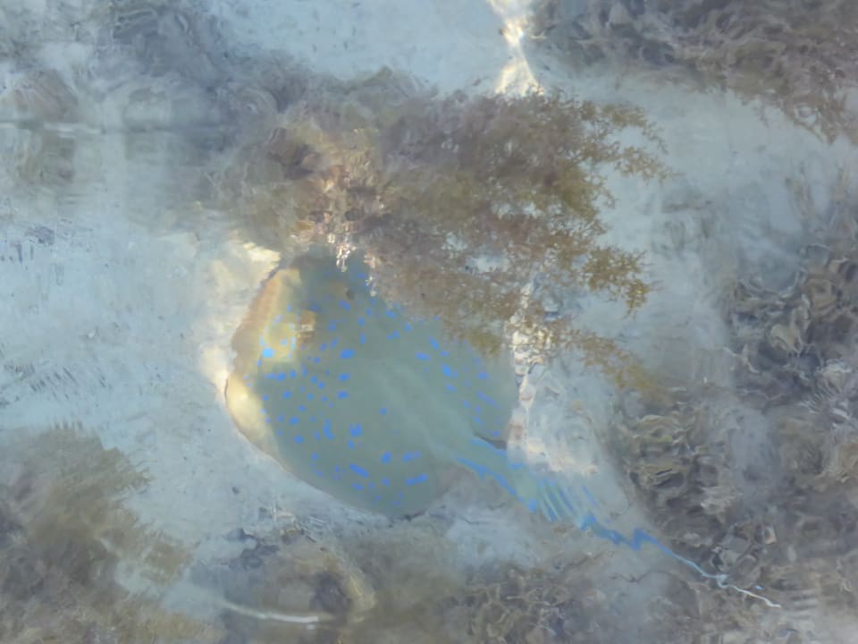 Sport & Freizeit Casa Mare Resort