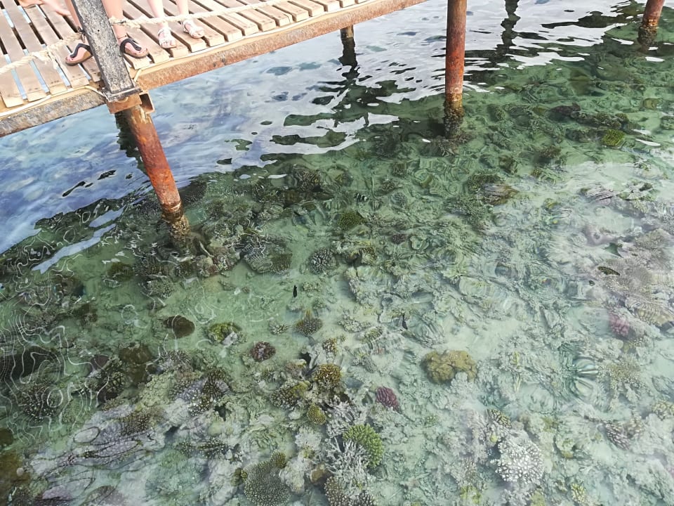 Strand Stella Beach Resort & Spa Makadi Bay