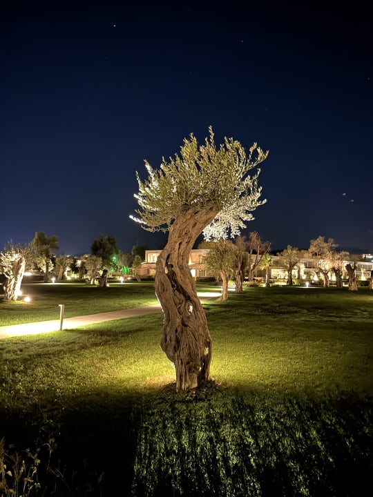 Außenansicht Ikos Odisia