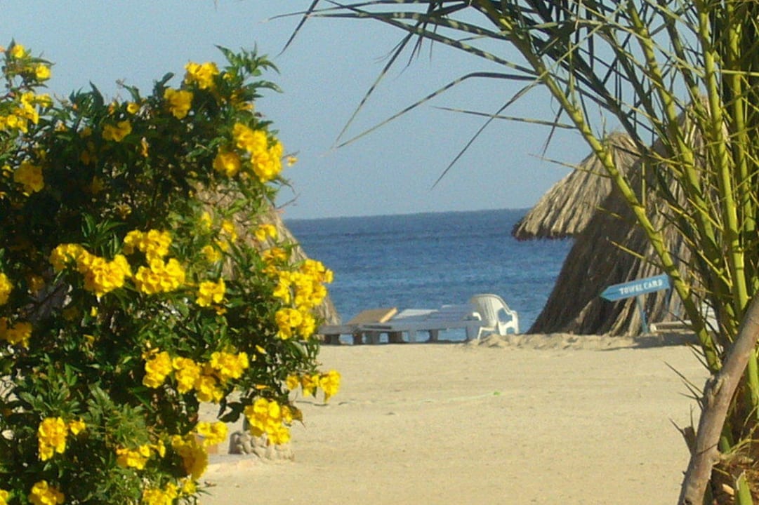 Blick aus dem Bungalow direkt am Strand Utopia Beach Club