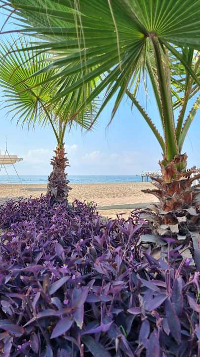 Außenansicht Hotel Delphin Imperial