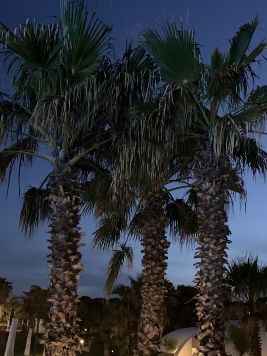 Außenansicht Torre Cintola Greenblu Sea Emotions