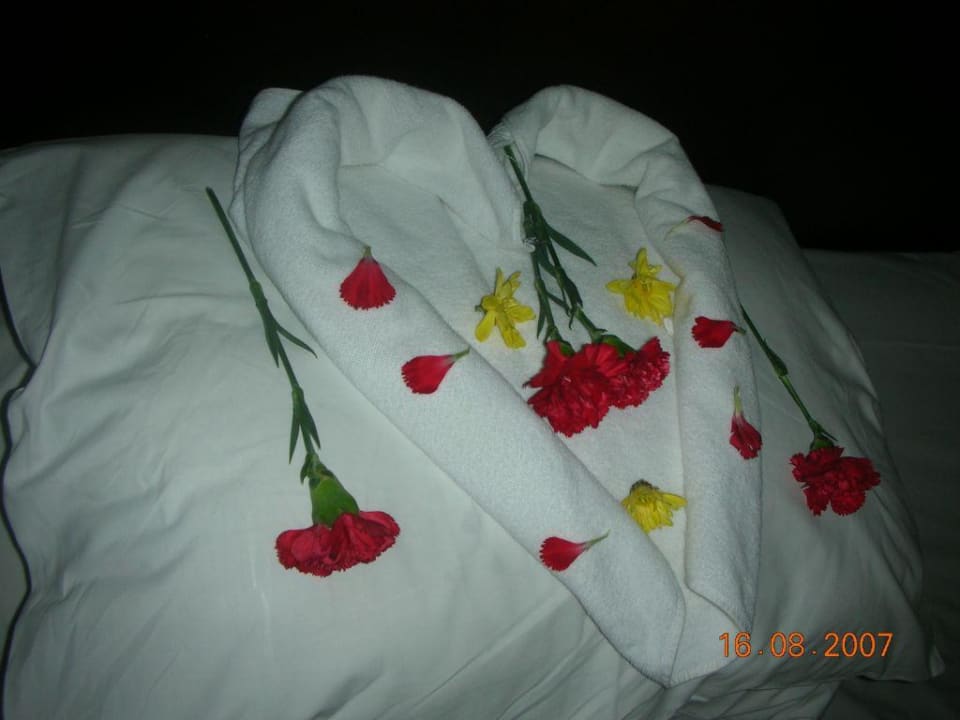 Begrüssungsmotiv im Zimmer Green Max Hotel