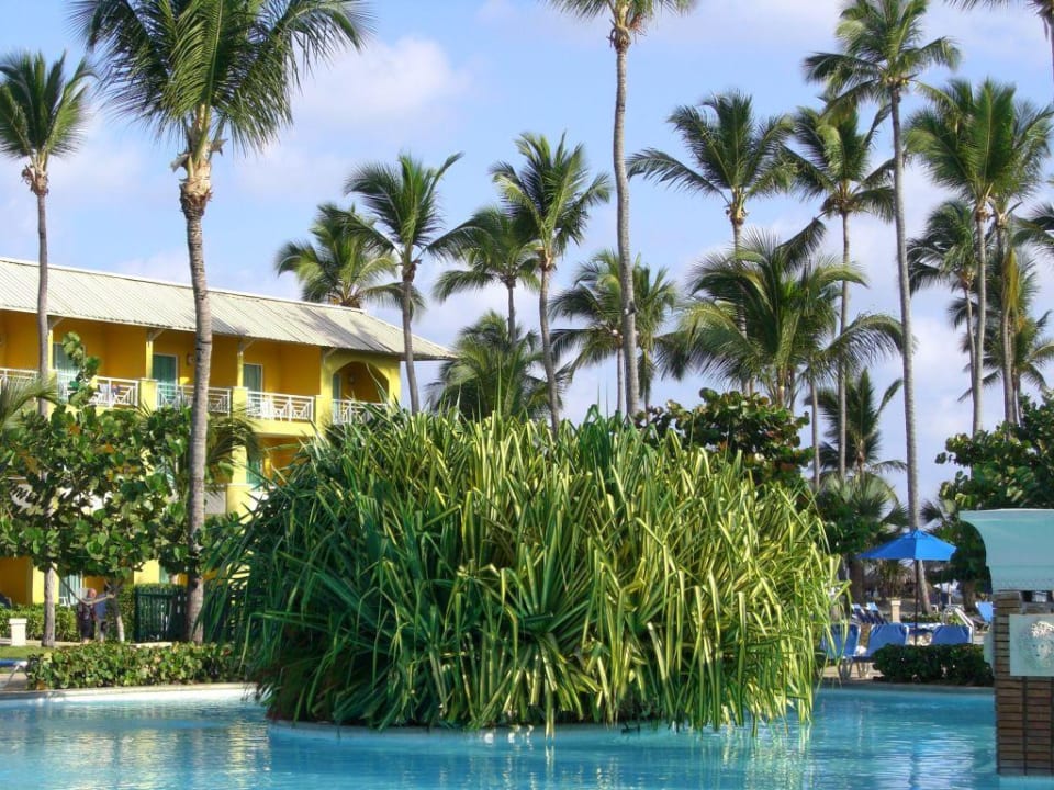 Teil der Poollandschaft Royalton Splash Punta Cana