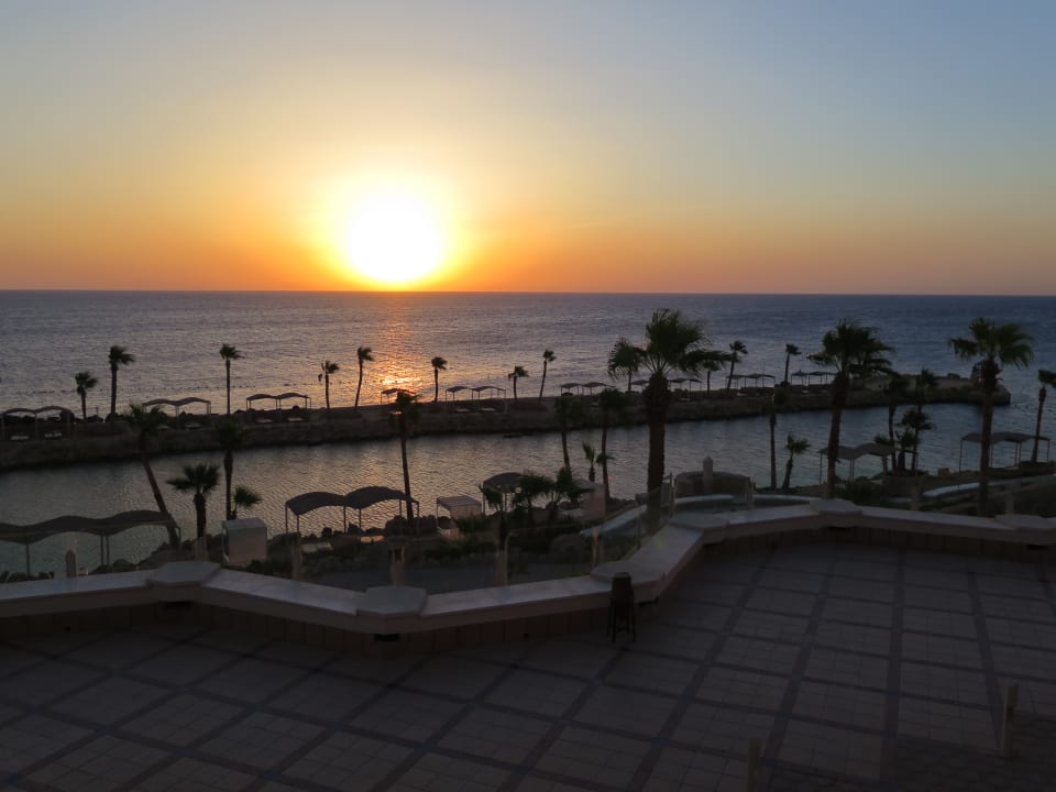 Zimmer Pickalbatros Citadel Resort