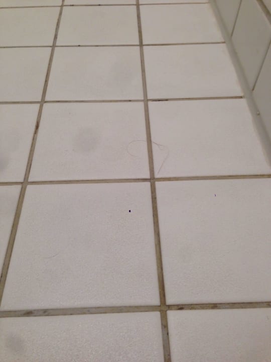 Haare im Bad direkt nach Ankunft  Park Plaza Berlin