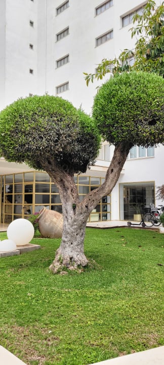 Gartenanlage CM Playa del Moro