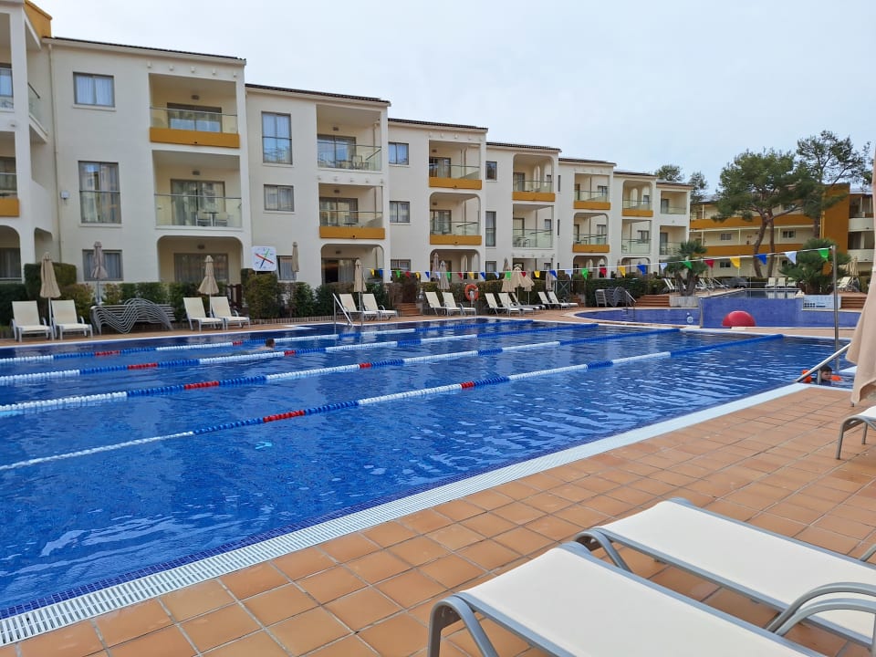 Pool Zafiro Tropic